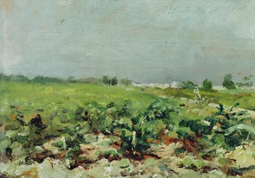 Celeyran, vista del viñedo, 1880